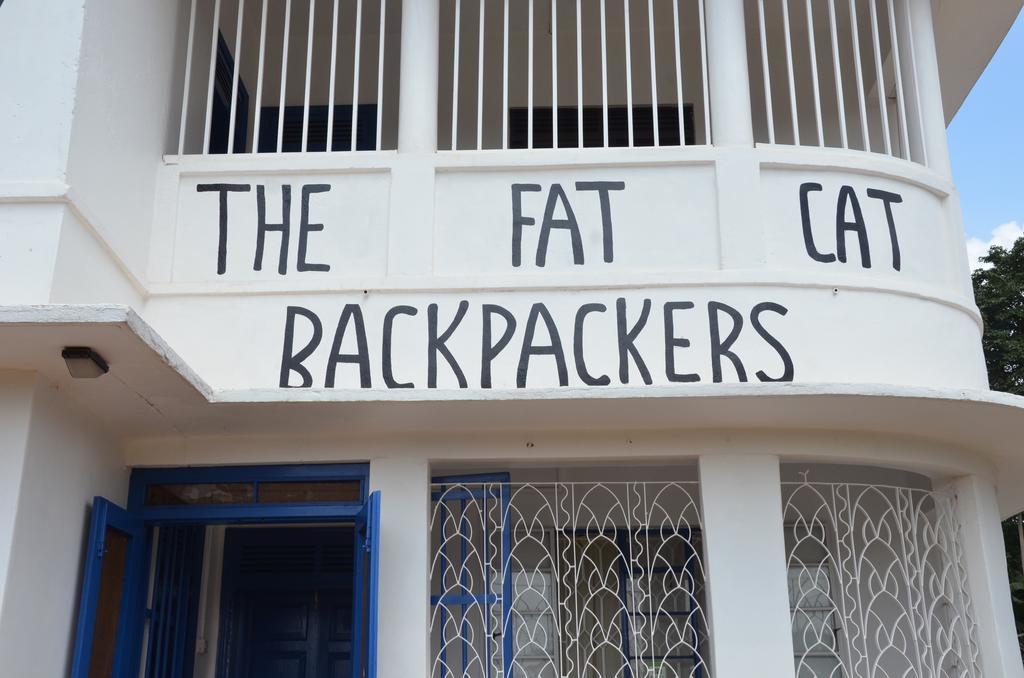 坎帕拉 The Fat Cat Backpackers旅舍 外观 照片